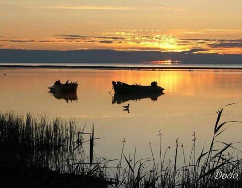 Gambar di galeri bagi Delta Palace di Sulina