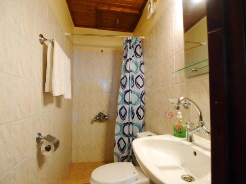 a bathroom with a sink and a toilet and a shower at Villa Ovgoro, Provarma, pool, seaview balcony in Próvarma