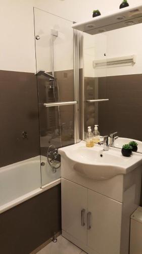 une salle de bain avec un lavabo et une douche dans l'établissement Résidence Le Crey Du Quart - Studio cabine 4 personnes 2 exposé Nord-Est MAE-9164, à Valloire