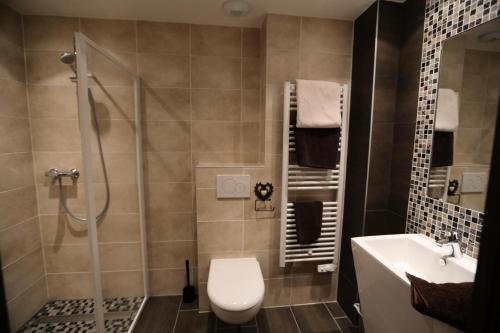 a bathroom with a shower and a toilet and a sink at Les Chalets D'adrien - 4 Pièces pour 8 Personnes 44 in Valloire