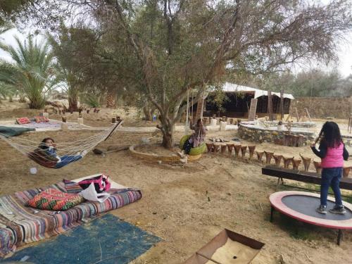 Zahrada ubytování Aghurmi Siwa Ecolodge & Salt Cave