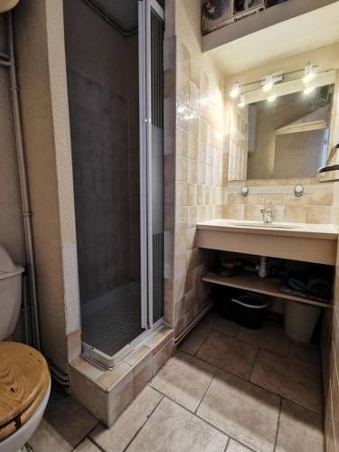 une salle de bain avec douche et lavabo dans l'établissement Résidence LES NEFS DES SABLES - 2 Pièces pour 5 Personnes 14, à Port-Leucate