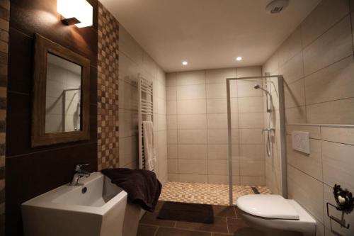 e bagno con doccia, servizi igienici e lavandino. di Les Chalets D'adrien - 3 Pièces pour 6 Personnes 84 a Valloire