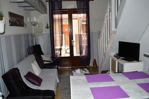 un salon avec un canapé et une télévision dans l'établissement Résidence Grande Bleue - VILLA 3 PIECES 6 couchages PORT LEUCATE MAE-4804, à Port-Leucate