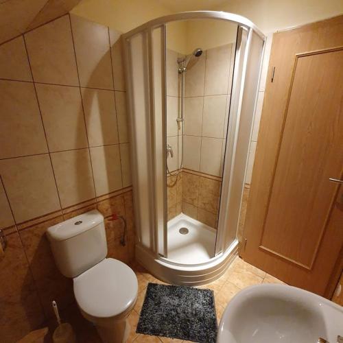 een badkamer met een douche, een toilet en een wastafel bij Pivovarská restaurace Čáslav in Čáslav