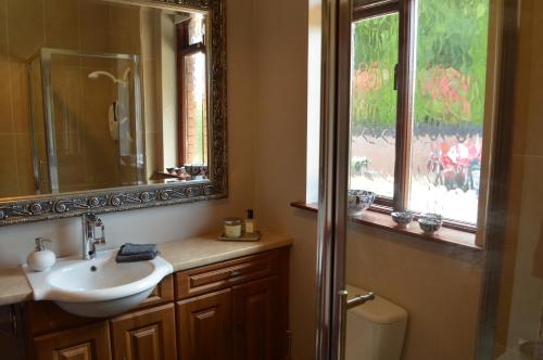 uma casa de banho com um lavatório, um espelho e uma janela em Ravenwood em Castlebellingham