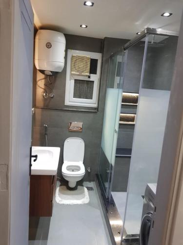a small bathroom with a toilet and a shower at الجيزه in Cairo