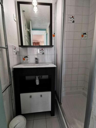 une salle de bain avec un lavabo, un miroir et une douche dans l'établissement Résidence Les Captivantes - Villa deux pièces mezzanine avec vue sur mer à Port Leucate. Réf: 1CAPT_P3 MAE-5244, à Port-Leucate