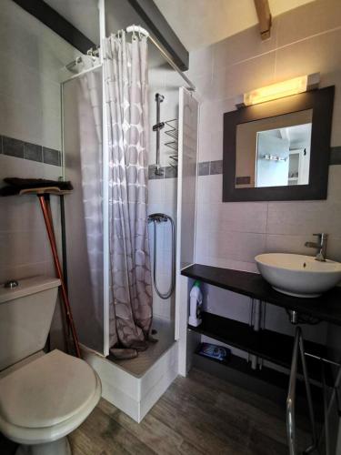 une salle de bain avec un lavabo, des toilettes et une douche dans l'établissement Résidence Les Maisons Du Port - VILLA T2 MEZZANINE 6 couchages PORT LEUCATE MAE-5474, à Port-Leucate