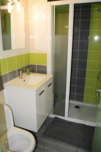 une salle de bain avec toilettes, lavabo et douche dans l'établissement Résidence Les Maisons Du Soleil - VILLA T2 MEZZANINE 4 couchages PORT LEUCATE MAE-5914, à Port-Leucate