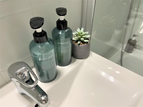 dos botellas de jabón sentadas en el lavabo del baño en Apartment mit Terassee & Aussicht auf See und Berge en Lochau