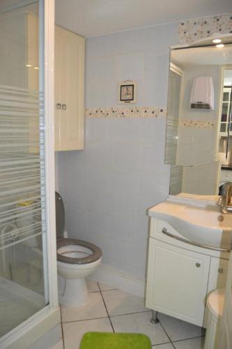 une salle de bain avec toilettes, lavabo et douche dans l'établissement Résidence Grande Bleue - VILLA T1 CAB MEZZ 5 couchages PORT LEUCATE MAE-6184, à Port-Leucate