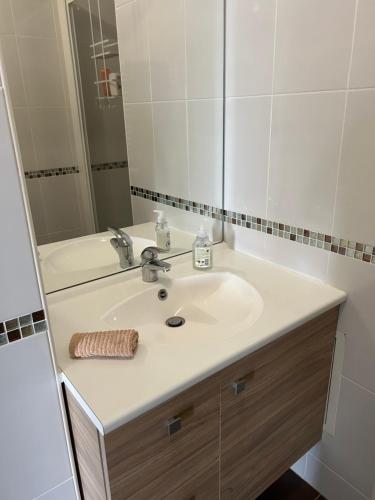 聖旺的住宿－Duplex luxury à 15’ JOP stade de France，一间带水槽和镜子的浴室