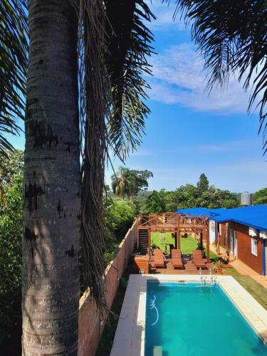 una palmera y una piscina al lado de una casa en Cabañas Ema Luz & La Soñada en Gobernador Roca