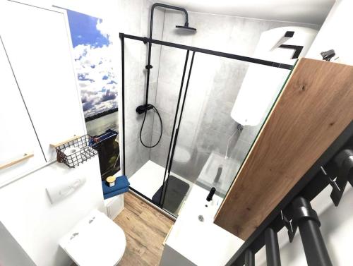 a bathroom with a shower and a toilet at Komfortowy Apartament Narie in Kretowiny