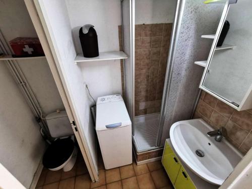 La petite salle de bains est pourvue d'une douche et d'un lavabo. dans l'établissement Résidence Grande Bleue - VILLA T2 CABINE MEZZANINE 6 couchages PORT LEUCATE MAE-7094, à Port-Leucate
