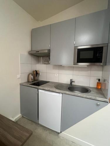 une cuisine avec un évier et un micro-ondes dans l'établissement Le cosy chic 16, à Paris