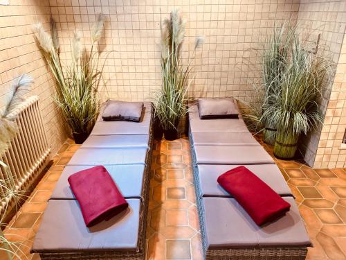 una fila de bancos con almohadas en un patio en Hotel Restaurant Adler Stube, en Münstertal