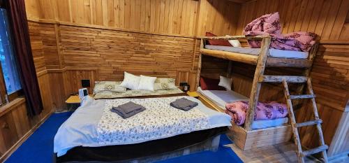 - une chambre avec 2 lits superposés et une échelle dans l'établissement PineRoots Homestay & Cafe, à Jibhi