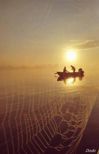 Gambar di galeri bagi Delta Palace di Sulina