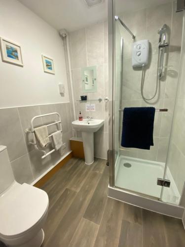 a bathroom with a shower and a toilet and a sink at Castle Inn in Knighton