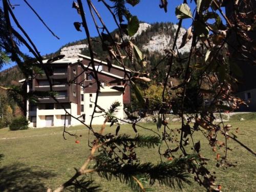 una casa en una colina con un árbol en primer plano en Résidence La Grande Traversee - Studio pour 4 Personnes 984 en Corrençon-en-Vercors