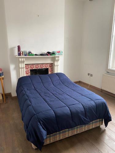 a blue bed in a room with a fireplace at Excellent Located House for Saint Patrick's in Dublin