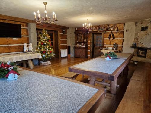シュクラルスカ・ポレンバにあるWilla Gazdówka - Pokoje gościnneのリビングルーム(クリスマスツリー、テーブル付)