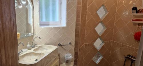 een badkamer met een wastafel en een douche met een spiegel bij MAISON DE CARACTERE AVEC PISCINE in Sartène
