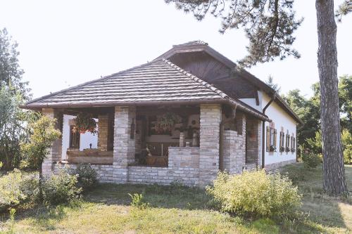 Sun City Vízisport Paradicsom 6800 Hódmezővásárhely, Kopáncs tanya 1 kép - 3