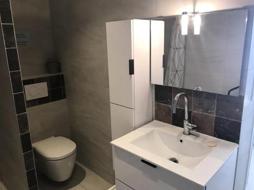 ein Badezimmer mit einem Waschbecken, einem WC und einem Spiegel in der Unterkunft Résidence Superbellevue - 2 Pièces pour 2 Personnes 574 in La Madrague