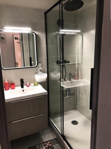 une salle de bain avec une douche, un lavabo et un miroir dans l'établissement Résidence Port Helena Coudouliere - Appartement front de mer MAE-7644, à Six-Fours-les-Plages