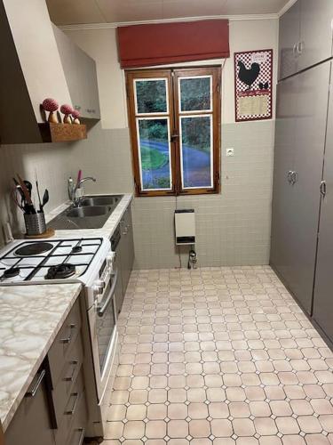 une cuisine avec un évier et une cuisinière four supérieur dans l'établissement Chalet au bord de l’eau, à Saint-Quirin