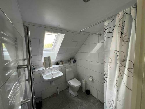 een kleine badkamer met een toilet en een wastafel bij Family Apartment - Near Billund in Randbøldal