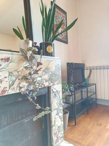 Elle comprend un salon doté d'une cheminée avec des plantes. dans l'établissement Spacieux T3 80m2 plein centre presque ile !, à Lyon