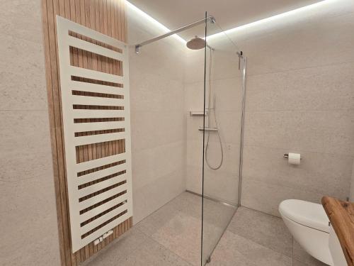ein Badezimmer mit Dusche mit Glastür in der Unterkunft Dünenpark Binz - Klassik Ferienwohnung mit 1 Schlafzimmer und Balkon im Dachgeschoss 184 in Binz