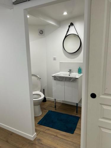 a bathroom with a toilet and a sink and a mirror at Logement entier Nîmes in Nîmes