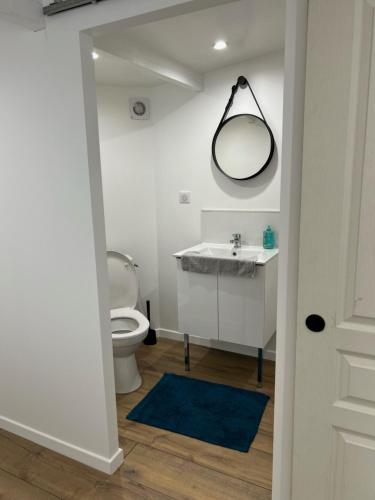 une salle de bain avec toilettes, lavabo et miroir dans l'établissement Logement entier Nîmes, à Nîmes