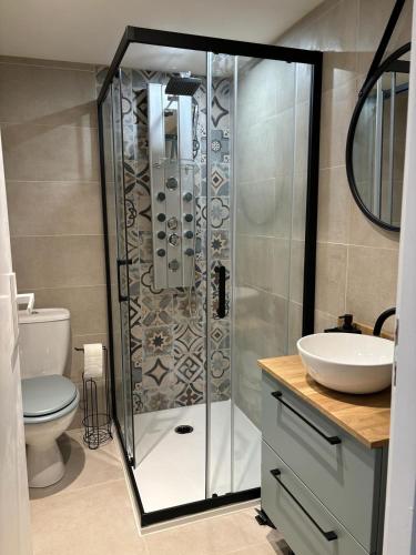 une salle de bain avec une douche, des toilettes et un lavabo dans l'établissement Maisonnette plein centre 2p, à Libourne