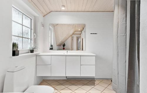 Baño blanco con lavabo y aseo en 4 Bedroom Amazing Home In Ringkbing en Nørre Lyngvig