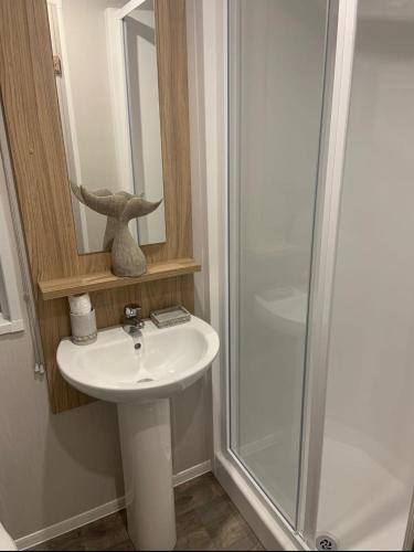 a bathroom with a sink and a shower at Southview Holiday Park, Deluxe Caravan in Skegness