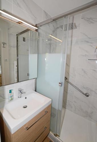 une salle de bain avec un lavabo et une douche dans l'établissement Beaux 2 pièces Daumesnil, à Paris