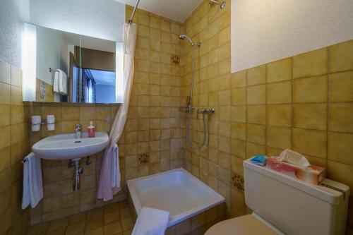 a bathroom with a sink and a toilet and a mirror at Hotel Toggenburg in Wildhaus