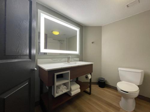 a bathroom with a sink and a toilet and a mirror at La Quinta by Wyndham Dallas DFW Airport North in Irving