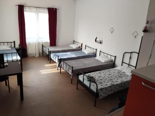 a group of four beds in a room at Hotel ENZO in Voluntari