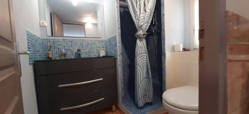 een badkamer met een toilet, een wastafel en een douche bij Chambre spacieuse, indépendante, 5mn de la gare in Narbonne