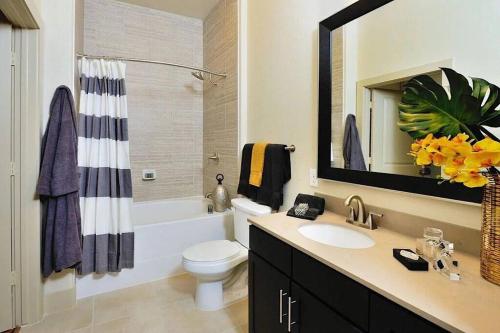 a bathroom with a sink and a toilet and a mirror at 2Bd/2Bth Hermann Park @ Med Ctr in Houston