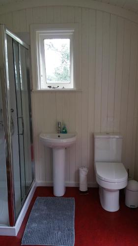 a bathroom with a sink and a toilet and a window at Snowdonia Shepherds' Huts in Conwy
