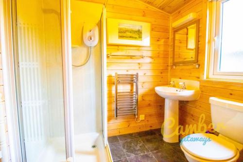 a bathroom with a shower and a toilet and a sink at Rainbow Petty - Pine lodge - Kent countryside in Brookland