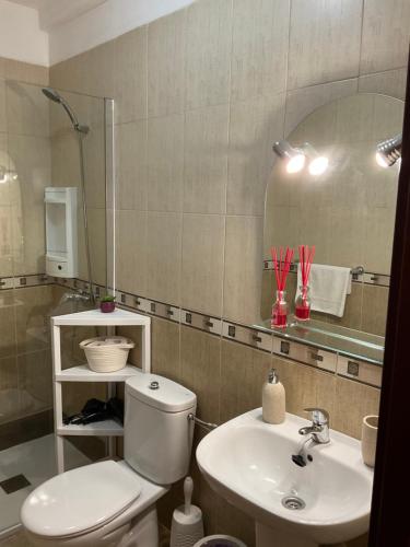ラ・レスティンガにあるVV Princesa Guayarminaのバスルーム(トイレ、洗面台、鏡付)